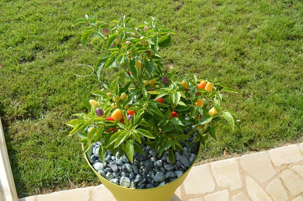 Agriturismo Casa Del Peperoncino Otranto Buitenkant foto