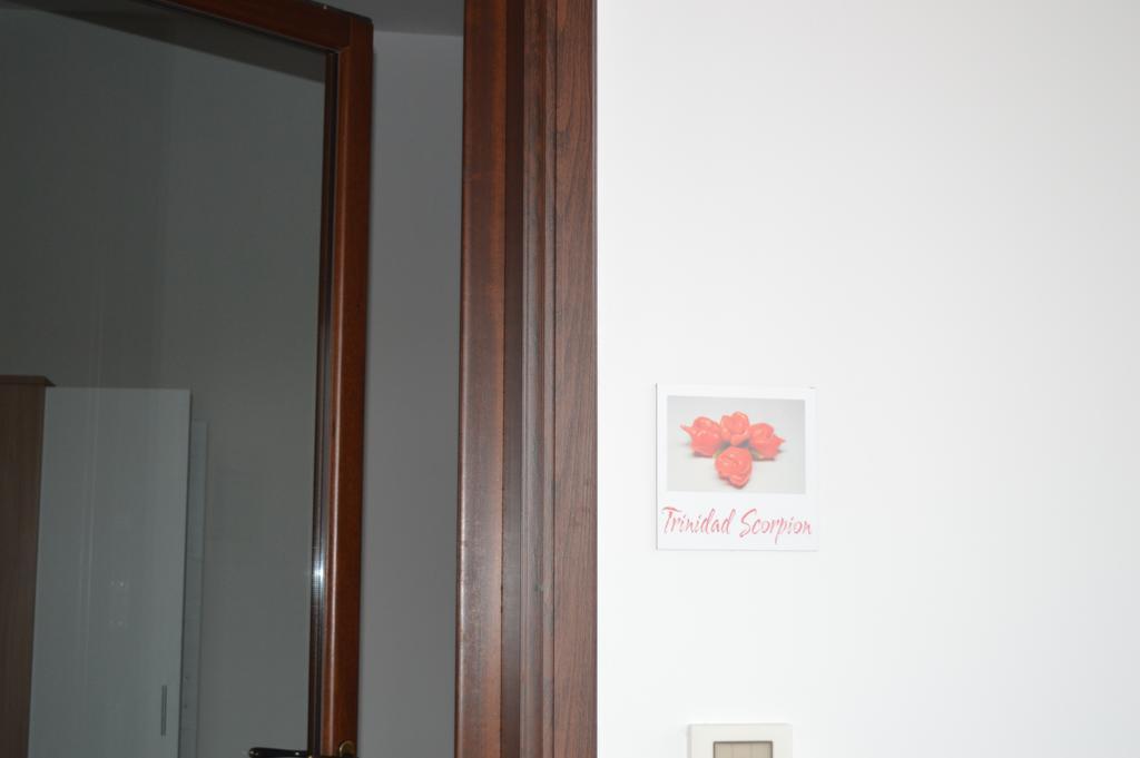 Agriturismo Casa Del Peperoncino Otranto Kamer foto